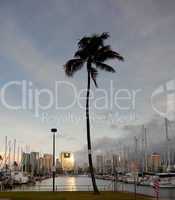 Downtown Honolulu at dawn Ala Wai harbor