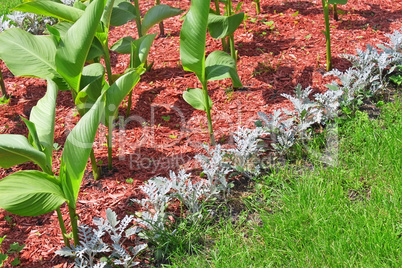 Detail of flowerbeds