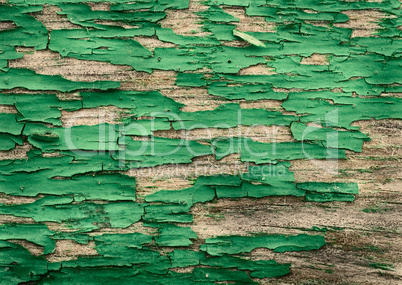 texture of old painted wood