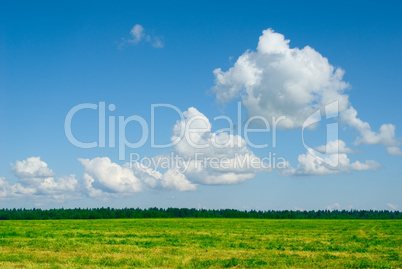 green field and blue cloudy sky background