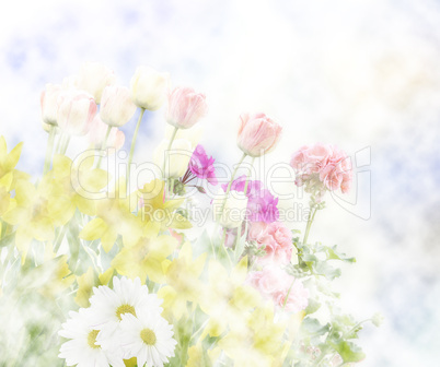 Spring Flowers