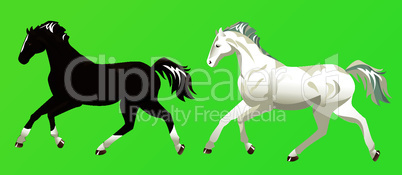 2 horses on green background