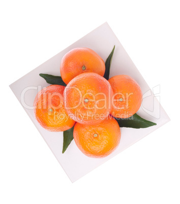 Oranges Oranges