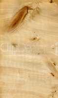 Wood texture