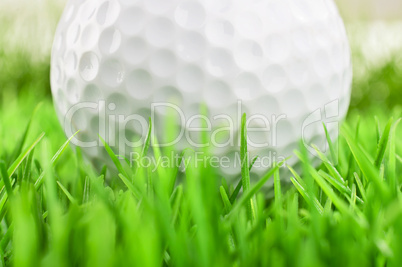 Closeup of a golfball on the grass