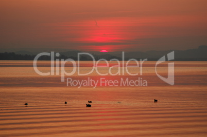 Sonnenuntergang am Bodensee