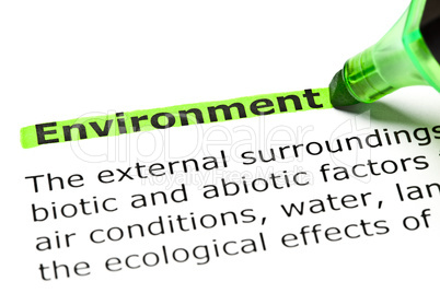 'Environment' highlighted in green