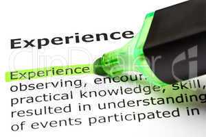 'Experience' highlighted in green