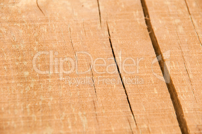 Pine wood log
