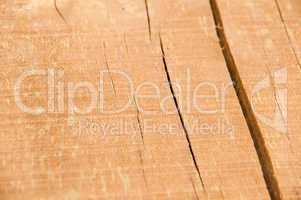Pine wood log