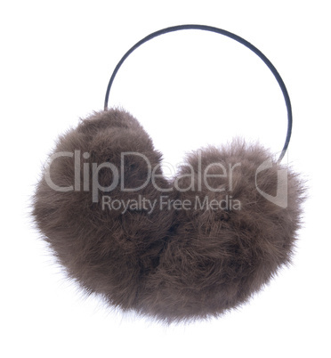 Ear muff