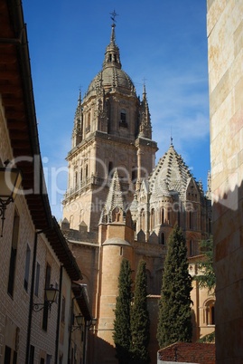 alamanca Cathedral, Spain