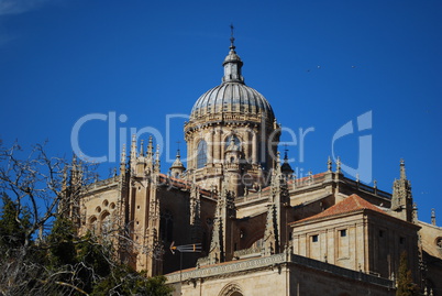 New Cathedral Dome in Salamanca, Spain