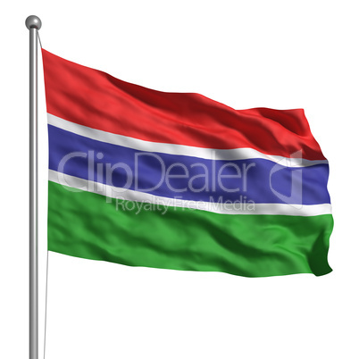 Flag of The Gambia