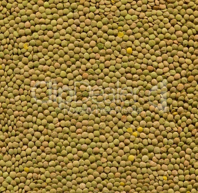 Green lentils texture