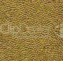 Green lentils texture