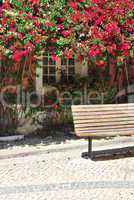 Wooden bench and a typical window with clinging flowers