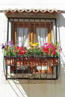 Typical window balcony with flowers in Lisbon