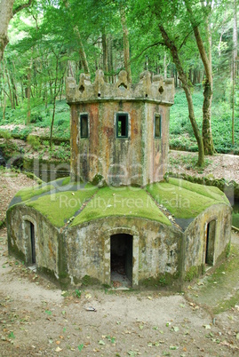 Mossy house for ducks in the forrest