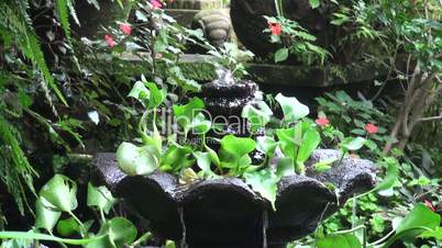 Antique fountain in the deep jungle