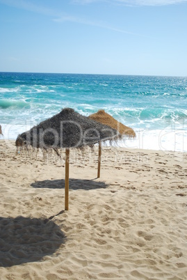Beach scene with coconuts area