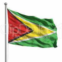 Flag of Guyana