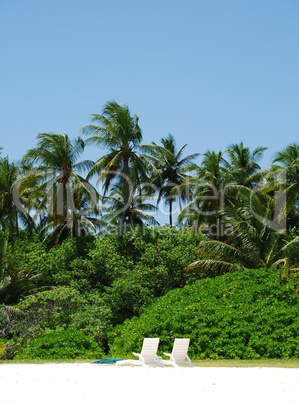 Coconut palm trees with white chairs (honeymoon concept)