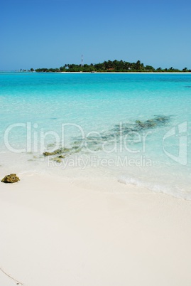 Maldives Island with gorgeous turquoise water