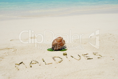 Maldives written in a sandy tropical beach and coconut fruit