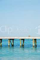 Wooden jetty bridge on a beautiful Maldivian beach