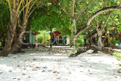 Beach villas and nature scene in Maldives