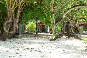 Beach villas and nature scene in Maldives
