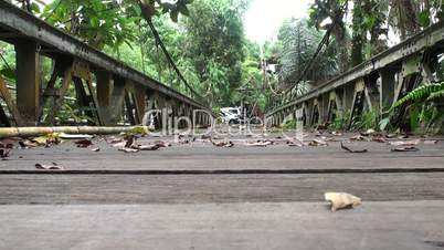 Bridge in small jungle village