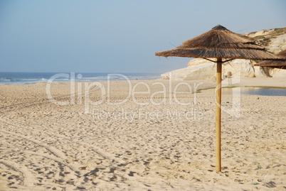 Beach scene with coconuts area