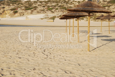 Beach scene with coconuts area