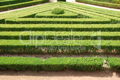 Green cuted bushes (triangular shape)