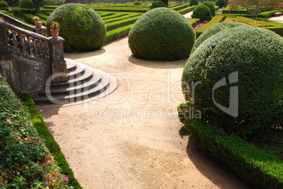 Beautiful ornamental garden with green bushes