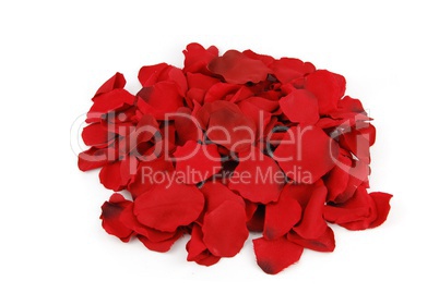 Bunch of rose petals for Valentine's Day