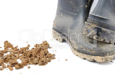 Black rubber boots and soil on white