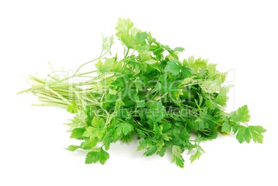 Bouquet of parsley on white