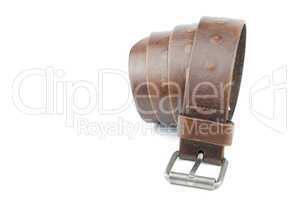 Dark brown leather belt on white