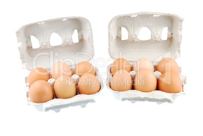 Twelve brown eggs packed in carton boxs