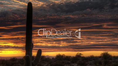 HDR Timelapse Sunset Arizona Cactus