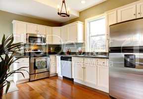 Classic white and green new kitchen with cherry floor.