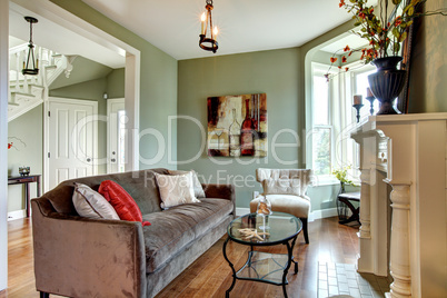 Elegant green living room with brown sofa and wood floor.