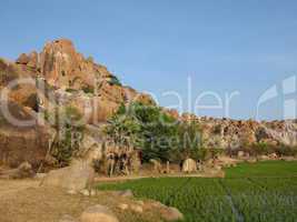 Rice fields and granite mountain, Hampi, India