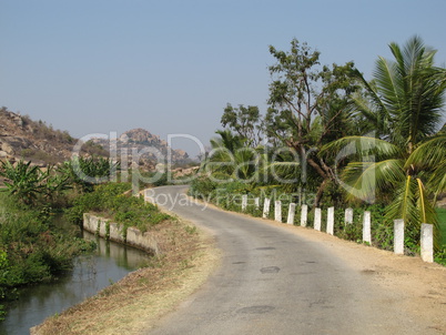 Road and coconut trees near Hampi, India