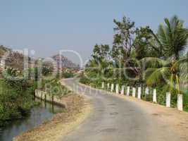 Road and coconut trees near Hampi, India