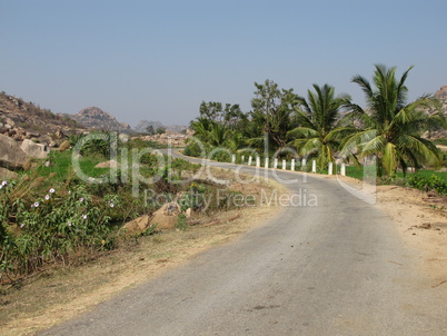 Road and coconut trees near Hampi, India