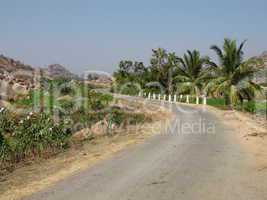 Road and coconut trees near Hampi, India